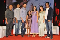 Manasuku Nachindi Movie Pre Release